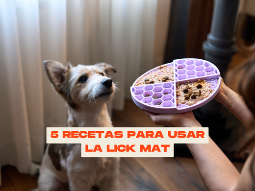 ¿Qué es una Alfombra para Lamer o Lick mat? 5 Recetas para tu perro