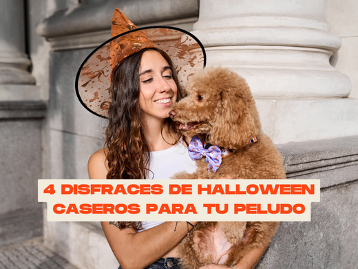 4 disfraces de Halloween para tu peludo