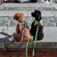 HARNESSES FOR SMALL DOGS