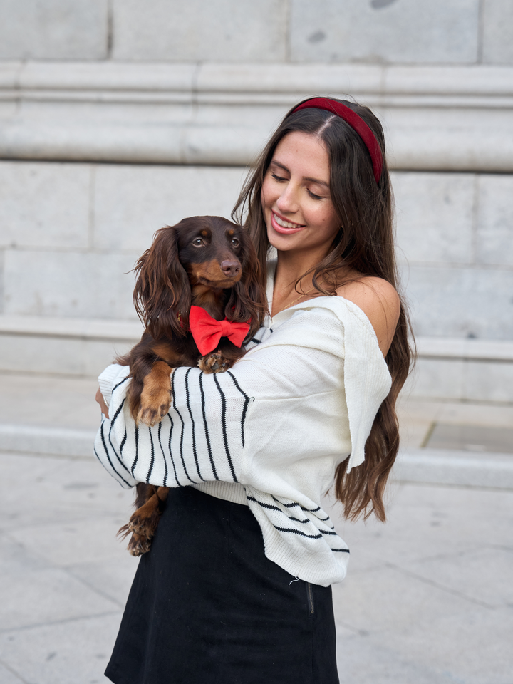 VELVET RED BOW TIE FOR DOGS