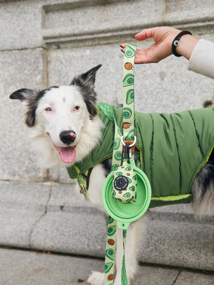 DOG COAT GREEN