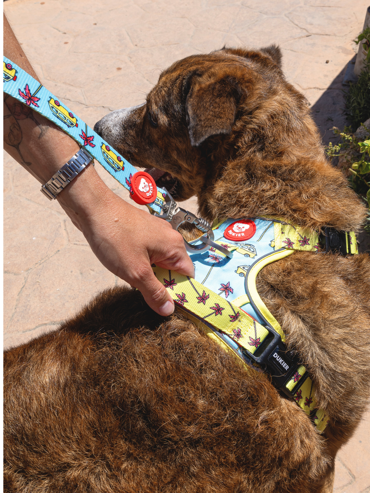 TRAIL DOG HARNESS CALIFORNIA