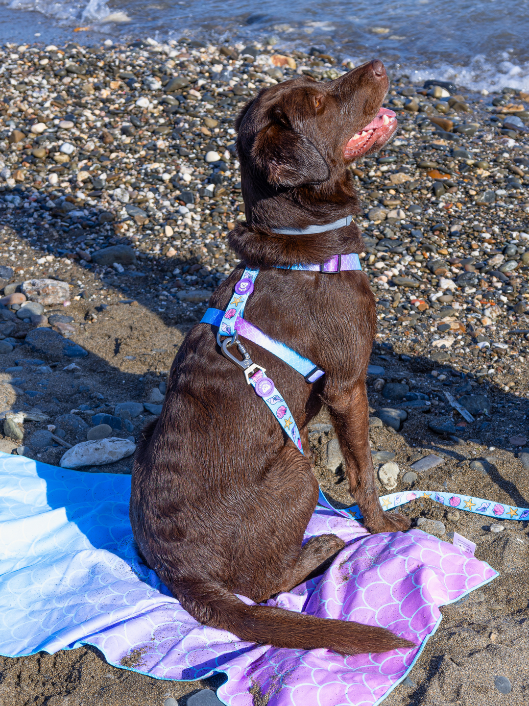 MERMAID DOG TOWEL