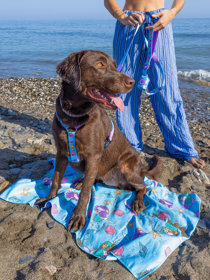 TOALHA PARA CÃO MERMAID