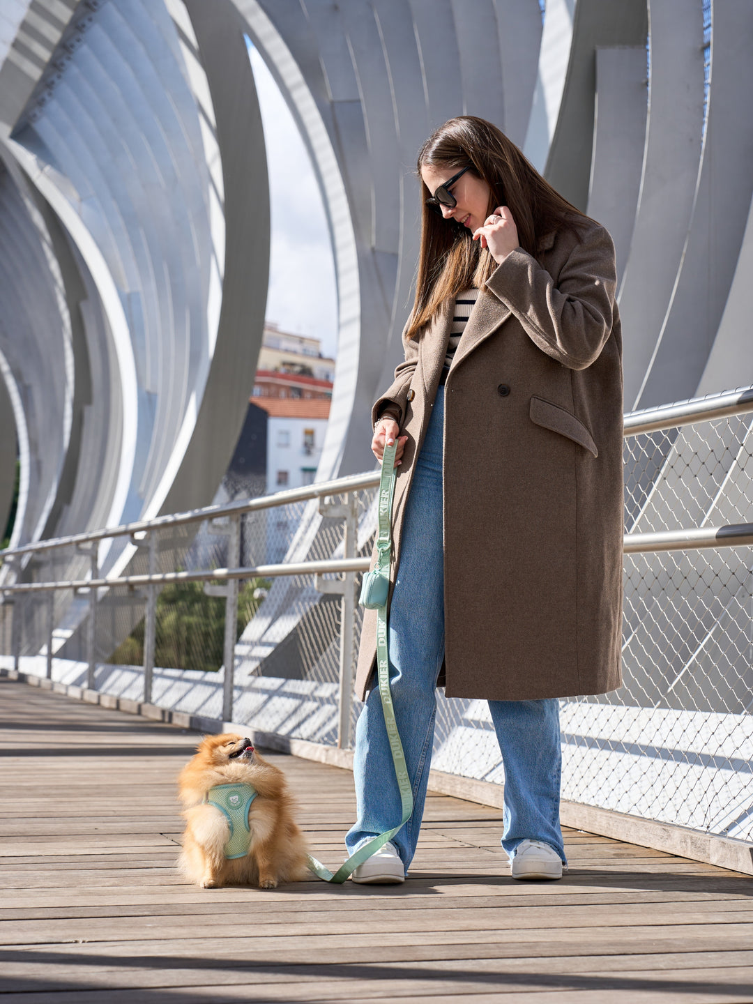 LEASH FOR DOGS SOFT GREEN