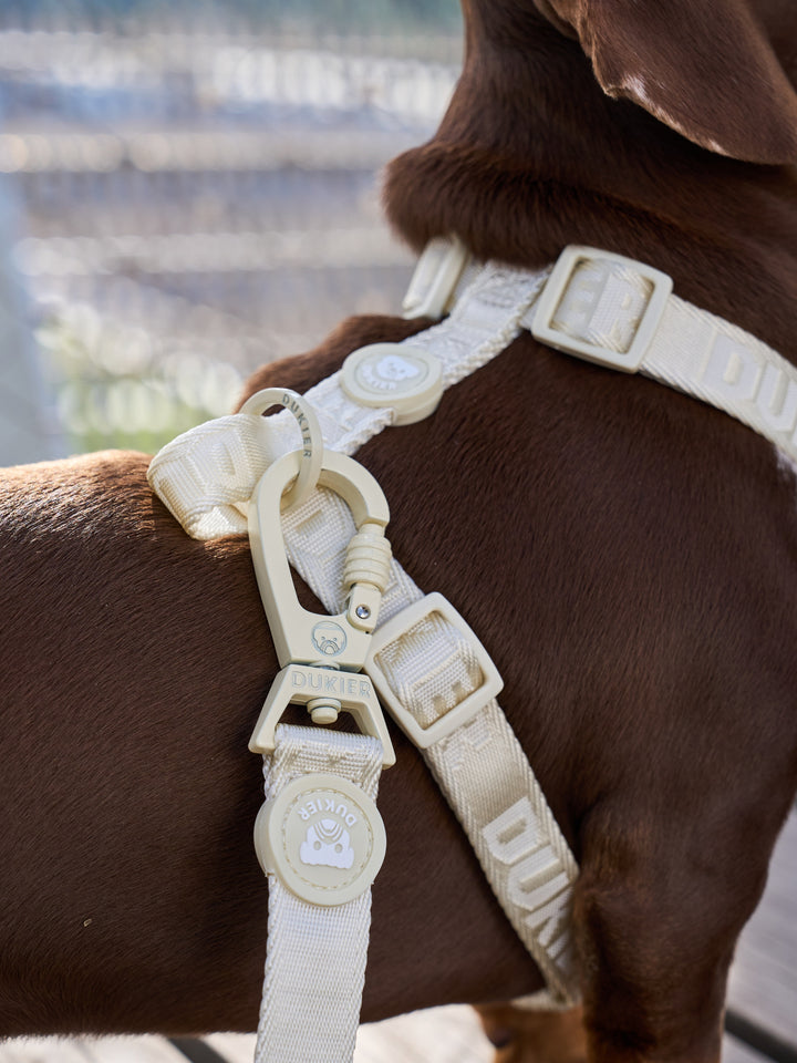 HARNAIS CLASSIQUE BEIGE POUR CHIEN