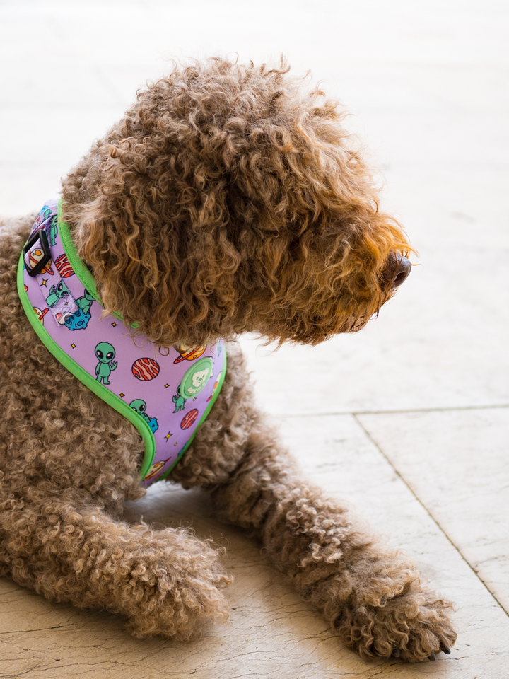 PETTORINA REGOLABILE PER CANE ALIEN