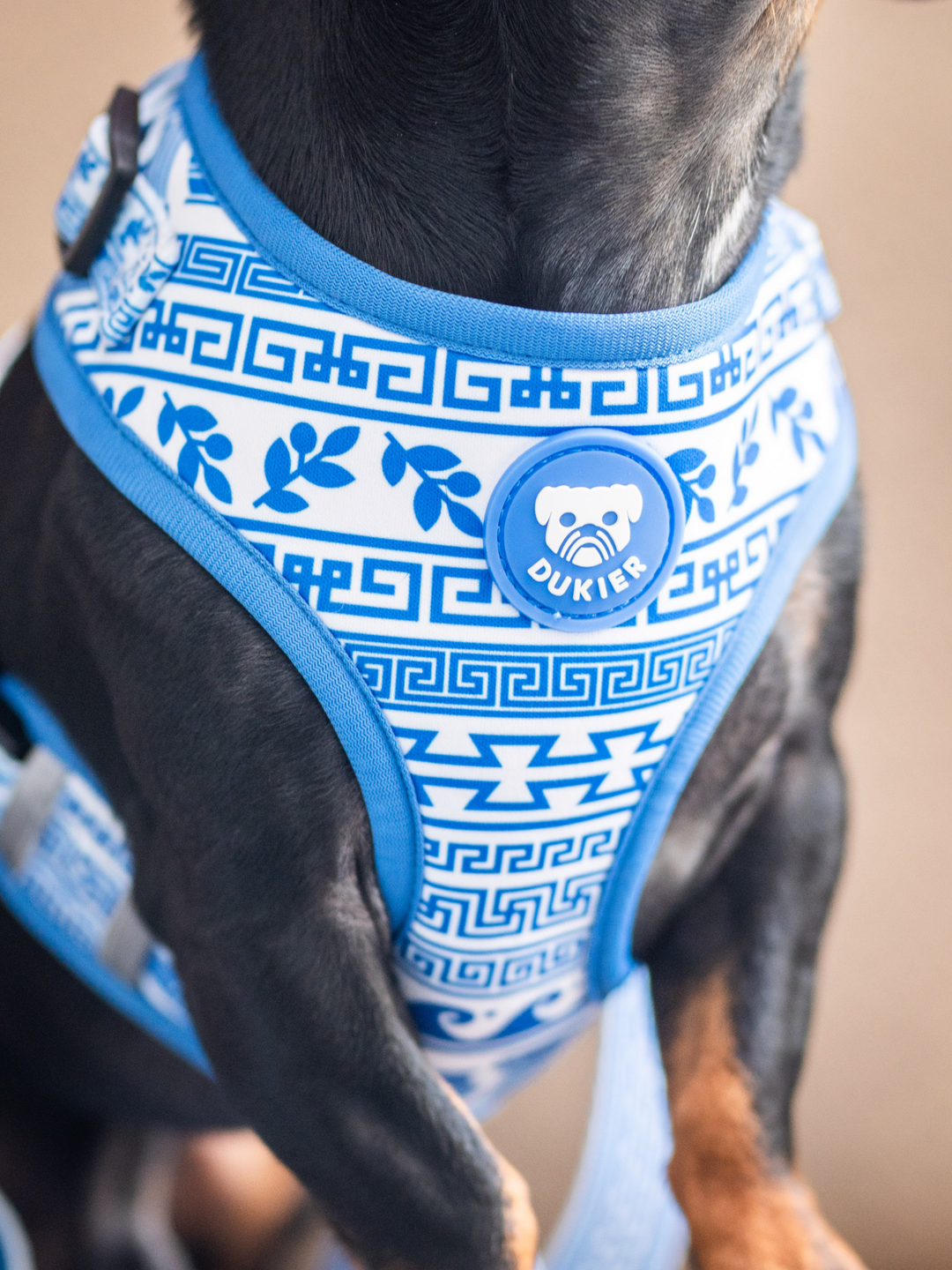 GREECE ADJUSTABLES DOG HARNESS