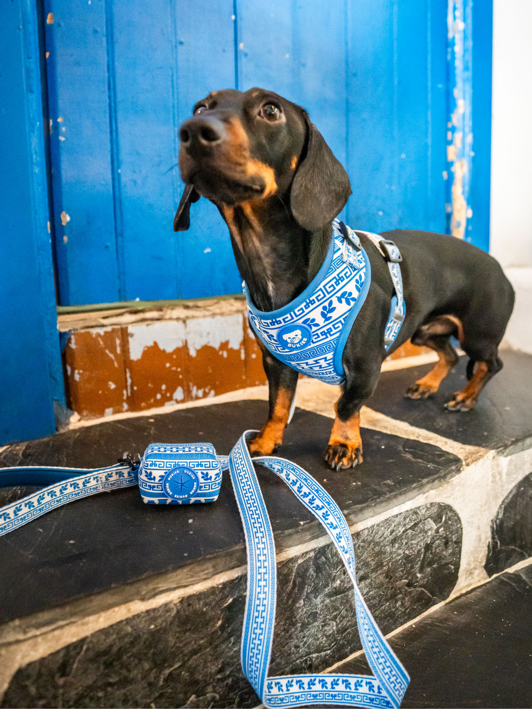 PORTE-SACS POUR CHIEN GREECE