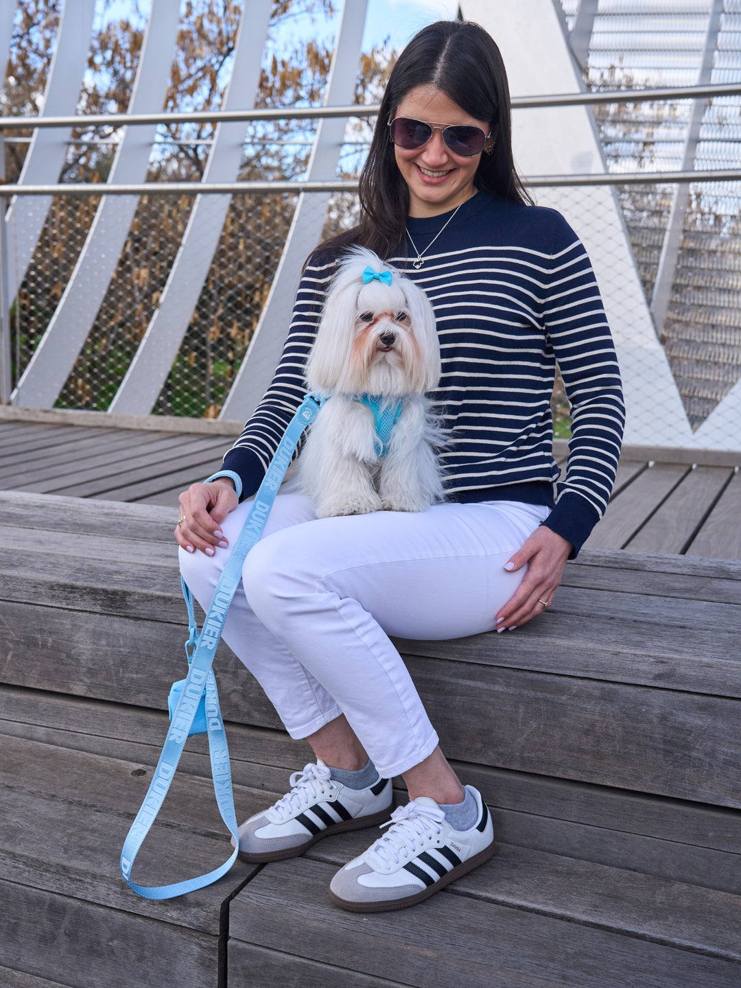 LAISSE SOFT BLUE POUR CHIEN