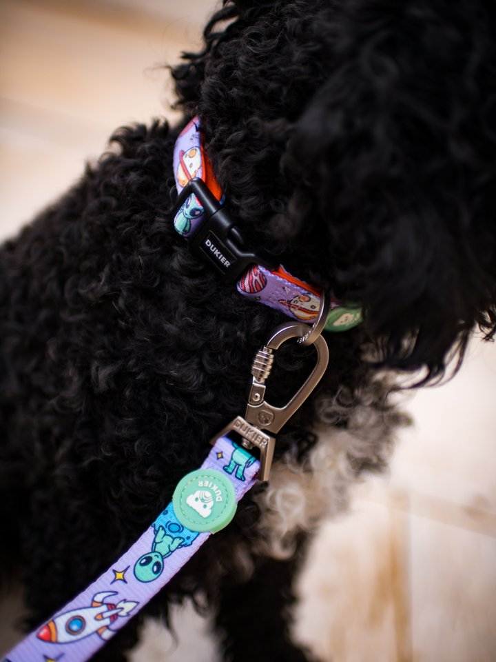 COLLIER ALIEN POUR CHIEN