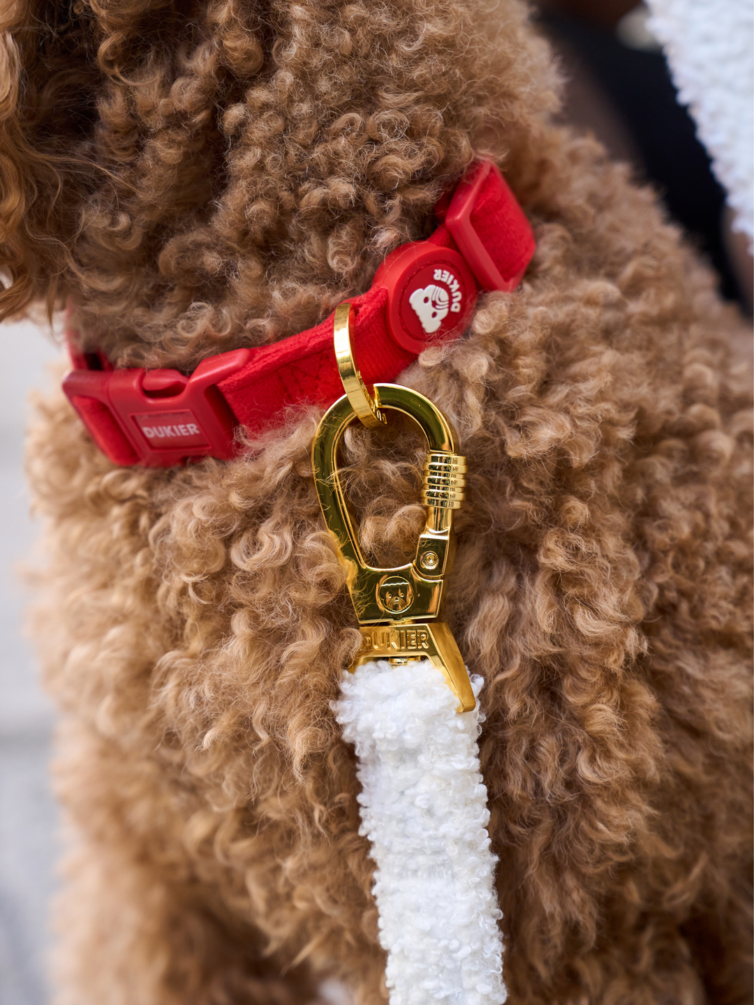 COLLAR PARA PERRO VELVET RED