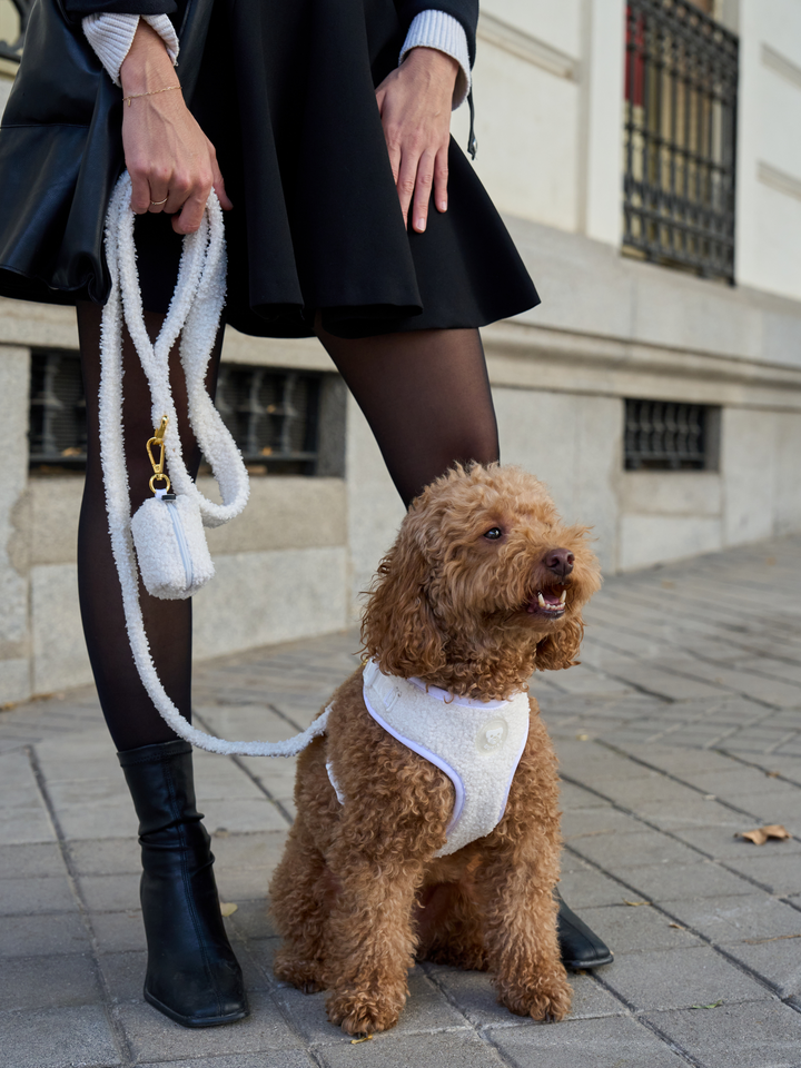 CORREA PARA PERRO TEDDY WHITE