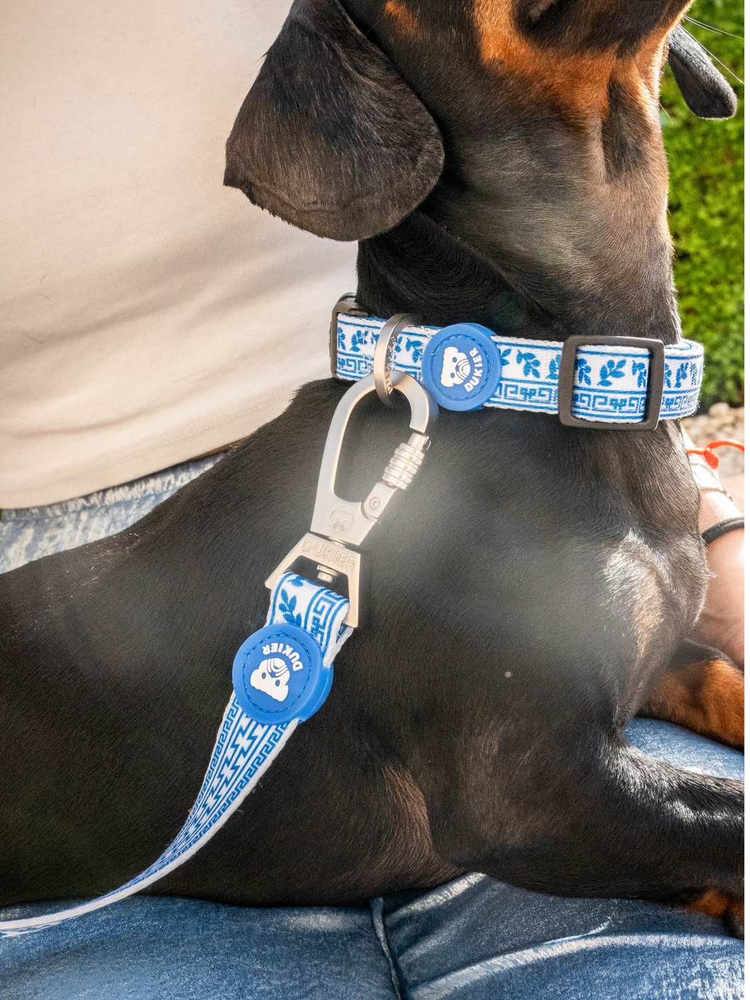 GREECE DOG COLLAR