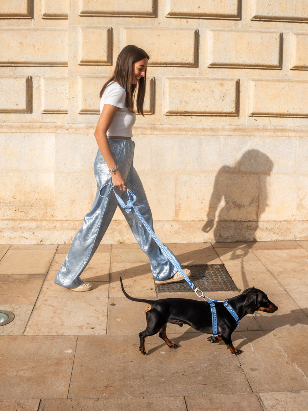 ARNÉS CLÁSICO PARA PERRO GREECE