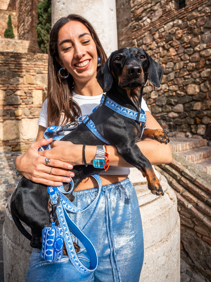 ARNÉS CLÁSICO PARA PERRO GREECE