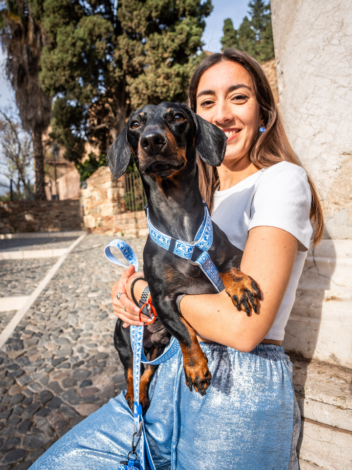 ARNÉS CLÁSICO PARA PERRO GREECE