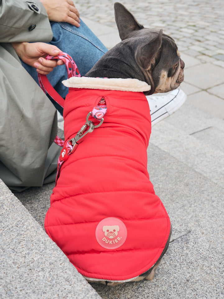 DOG COAT RED