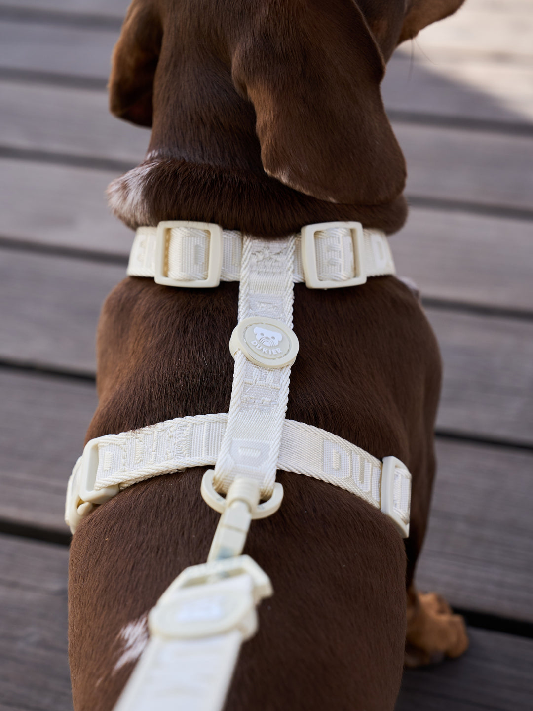 CLASSIC DOG HARNESS BEIGE