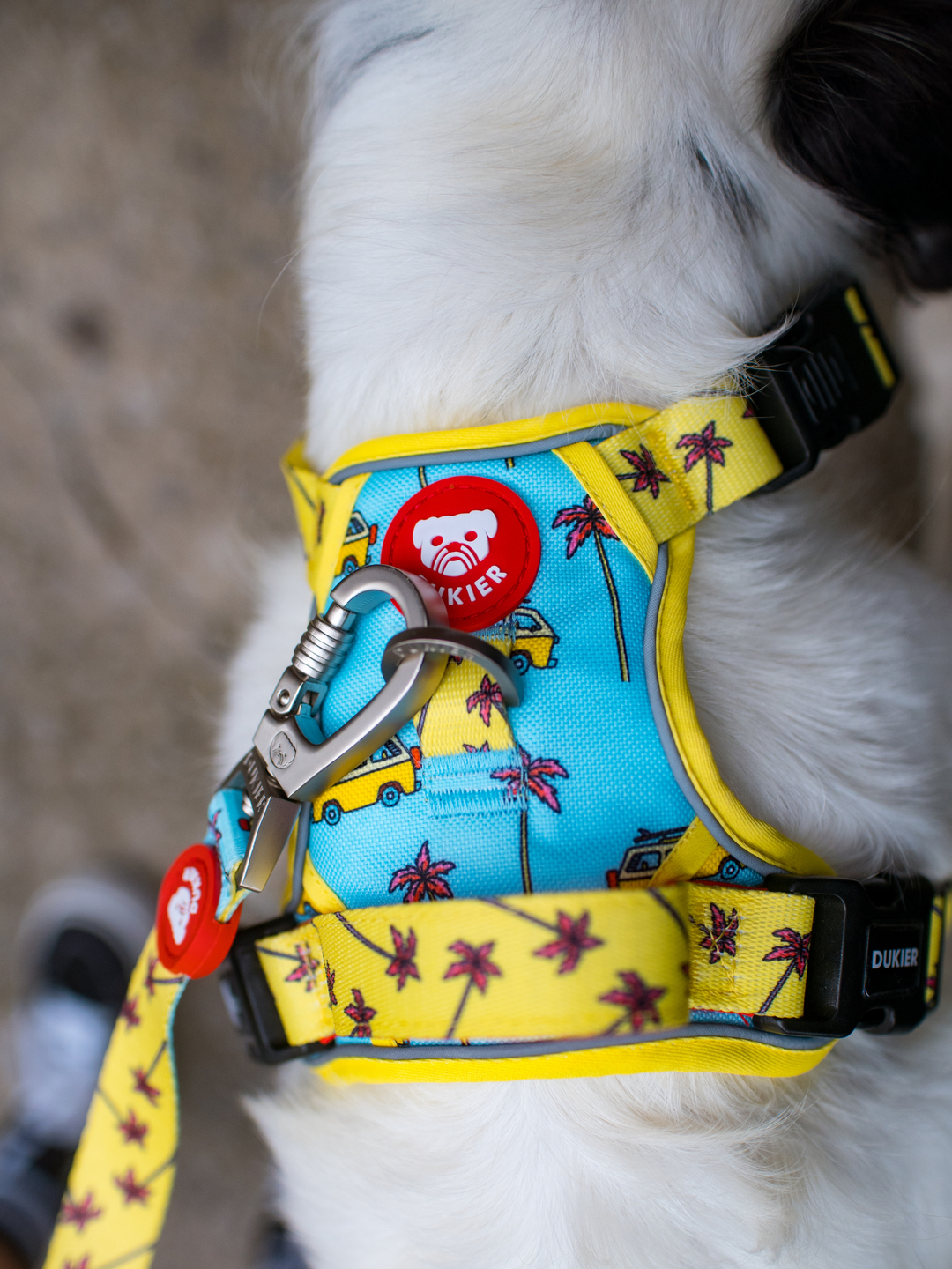 TRAIL DOG HARNESS CALIFORNIA