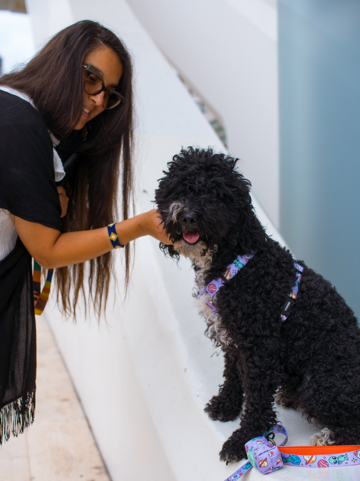 ARNÉS CLÁSICO PARA PERRO ALIEN