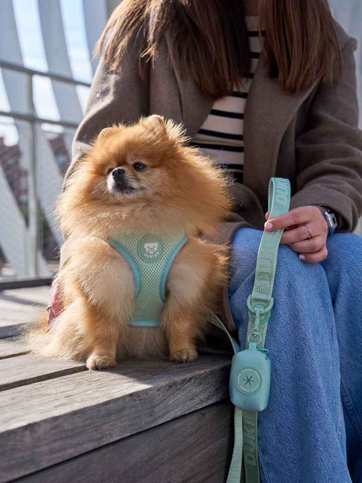 DOG BODY HARNESS SOFT GREEN