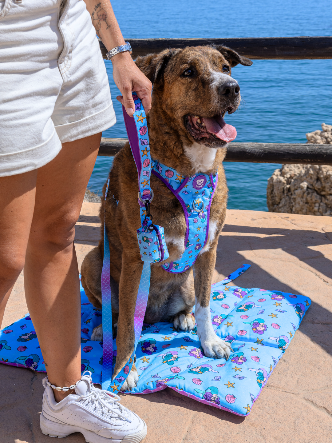 ROLL UP PET MAT: MERMAID