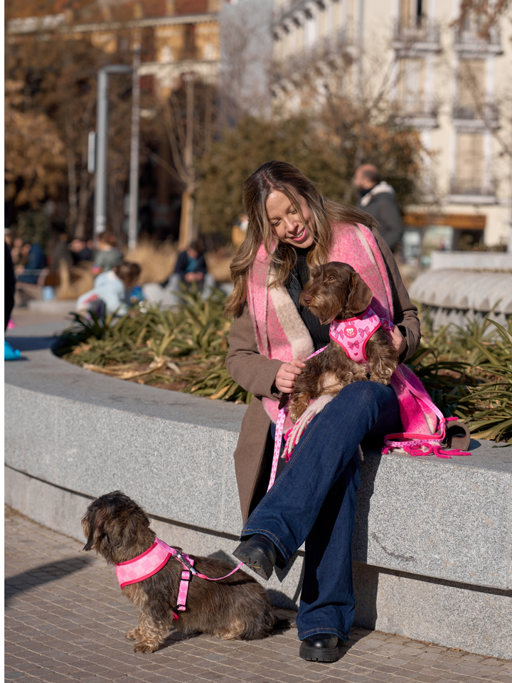 HARNAIS REVERSIBLE COQUETTE POUR CHIEN