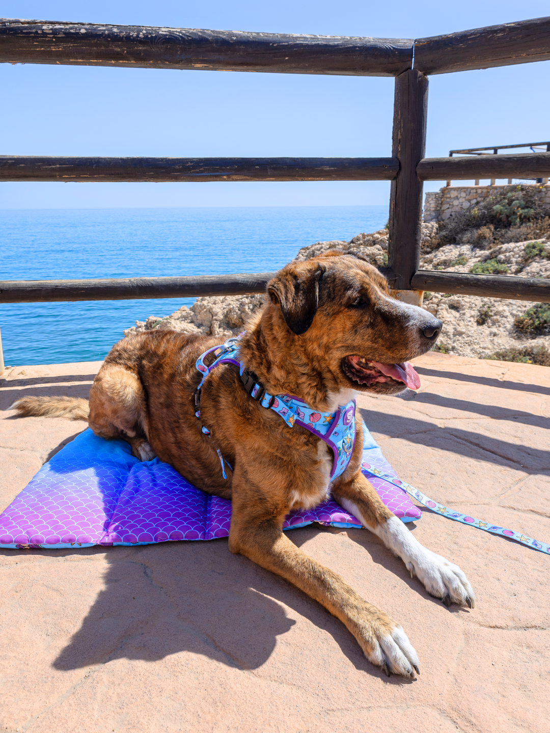 ROLL UP PET MAT: MERMAID