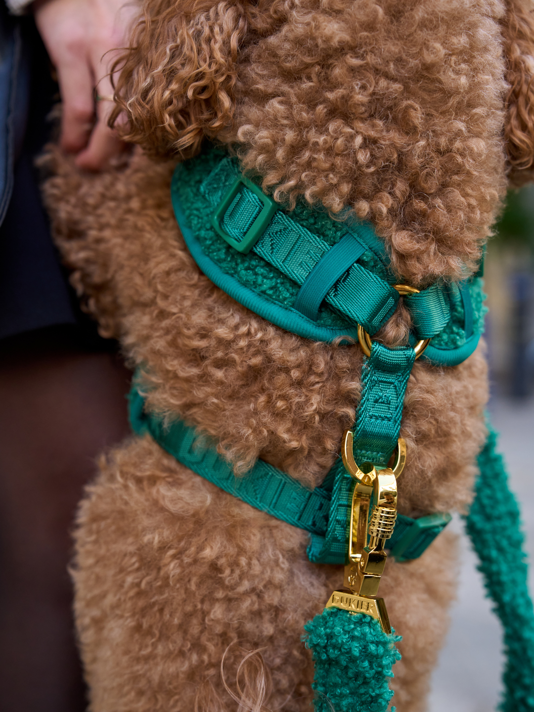 ARNÉS AJUSTABLE PARA PERRO TEDDY GREEN