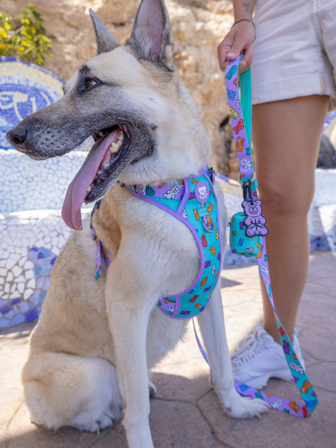 TRAIL DOG HARNESS GUMMY BEARS