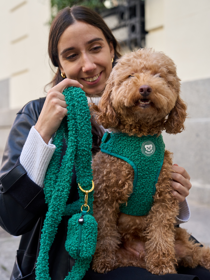 ARNÉS AJUSTABLE PARA PERRO TEDDY GREEN