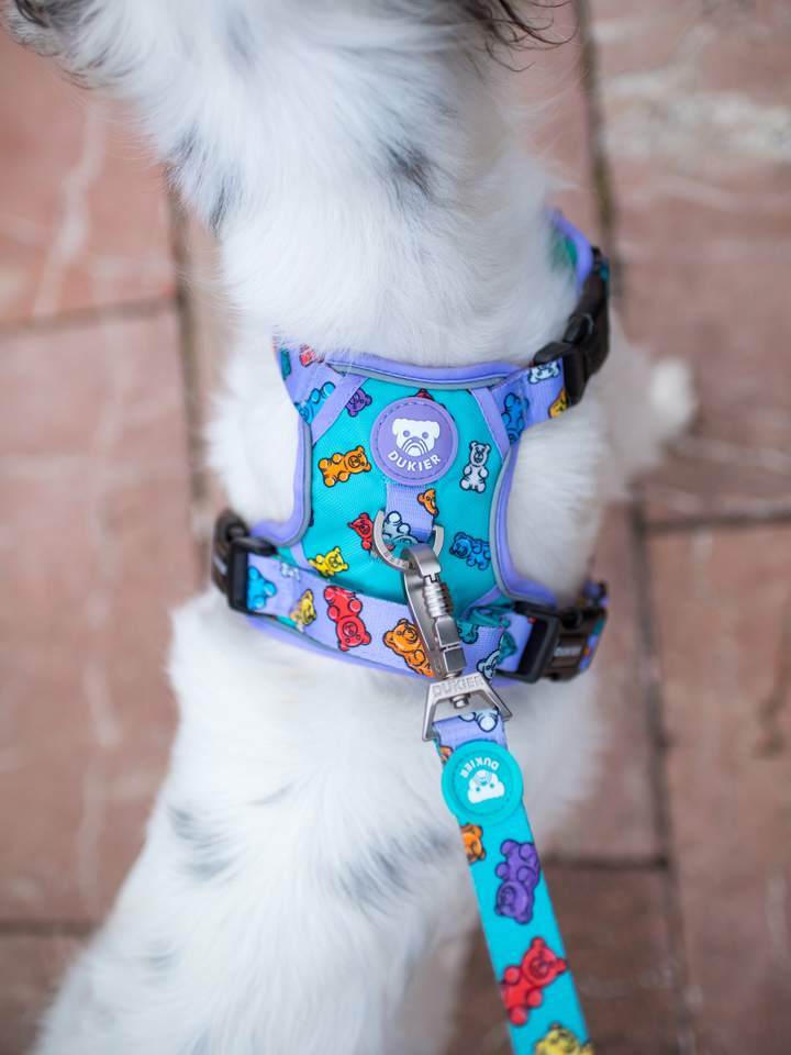 TRAIL DOG HARNESS GUMMY BEARS