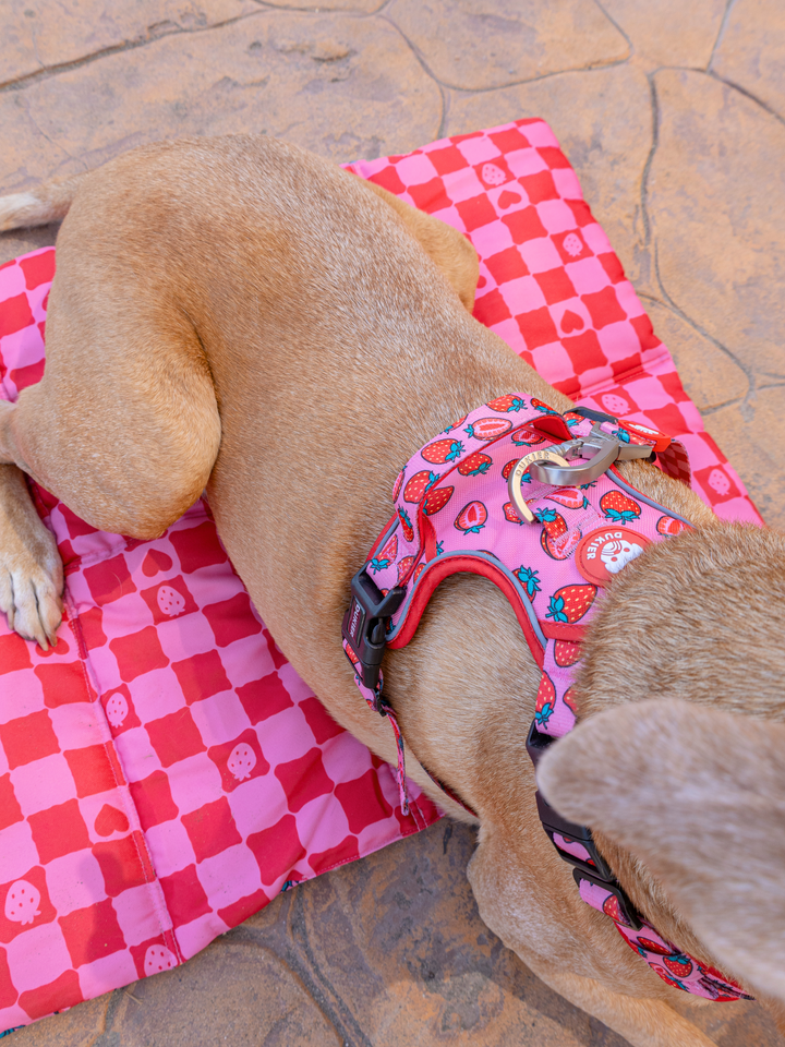 ROLL UP PET MAT: BERRY LOVE