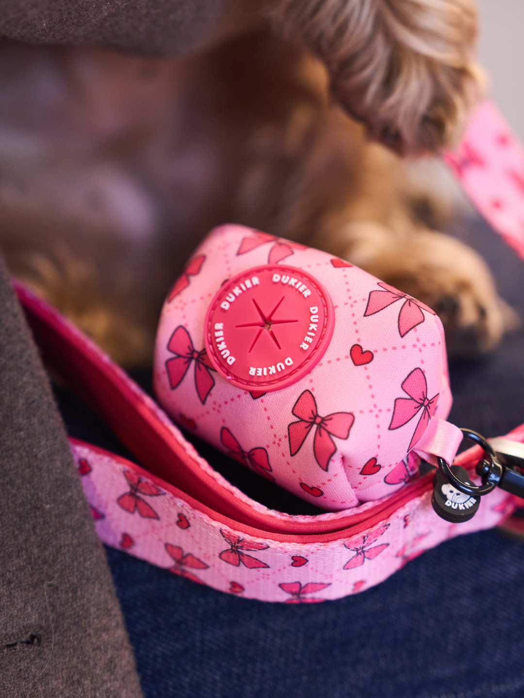 PORTE-SACS POUR CHIEN COQUETTE