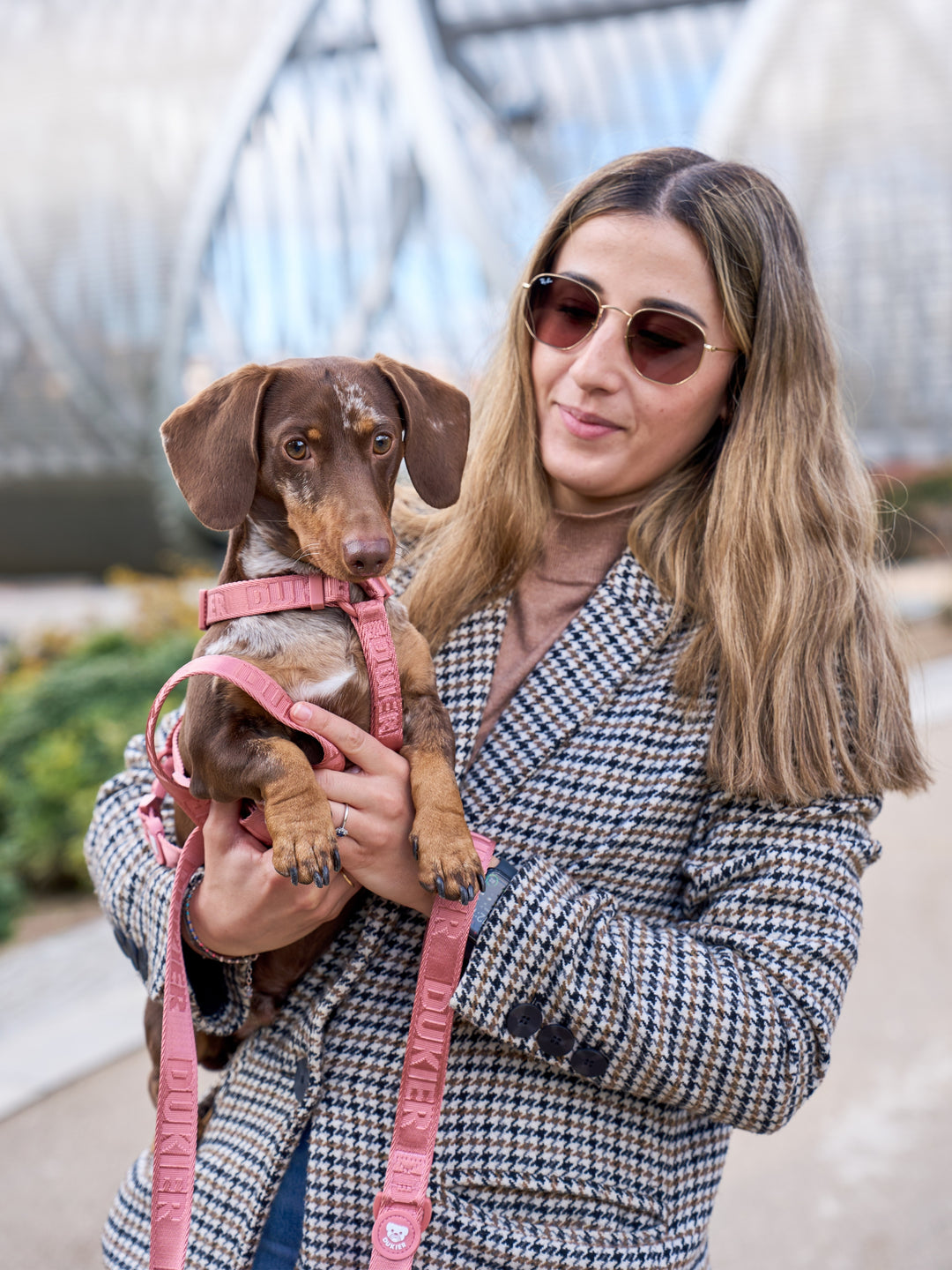 CLASSIC DOG HARNESS TERRACOTA