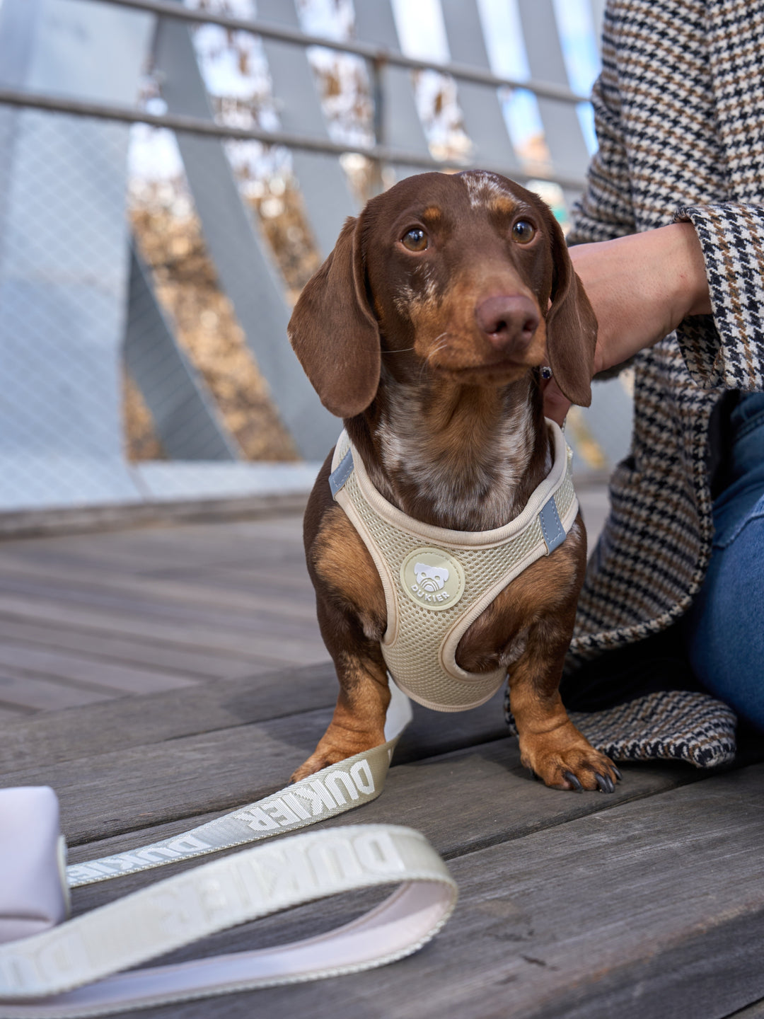 PETTORINA PER CANE BODY BEIGE