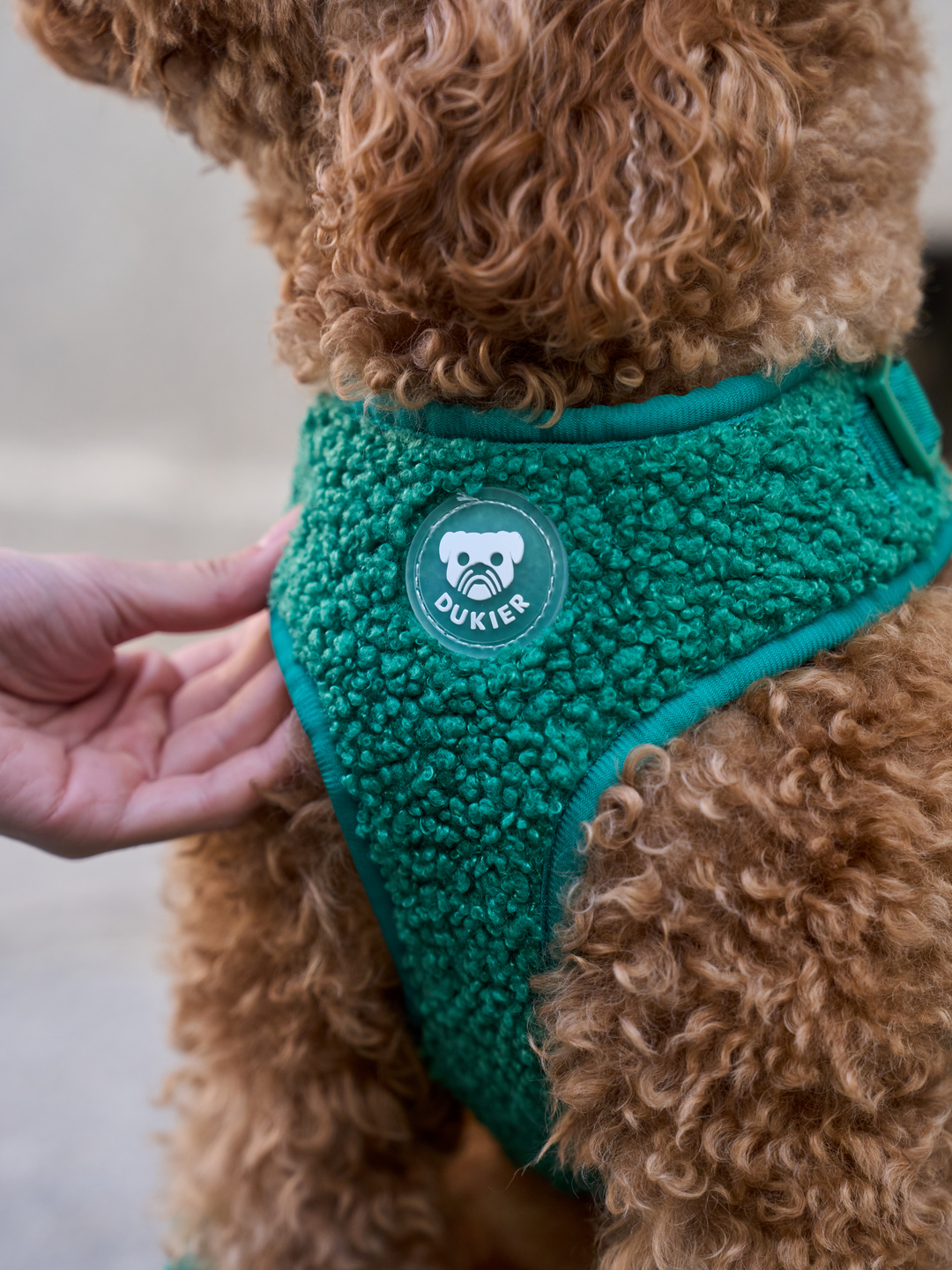 ARNÉS AJUSTABLE PARA PERRO TEDDY GREEN