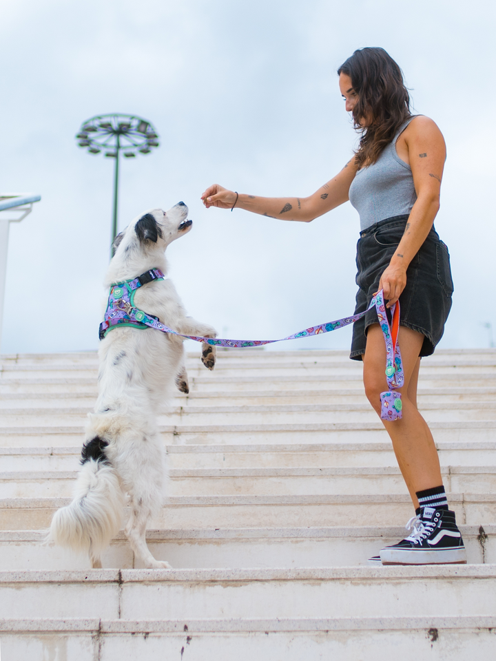 PETTORINA TRAIL PER CANE ALIEN