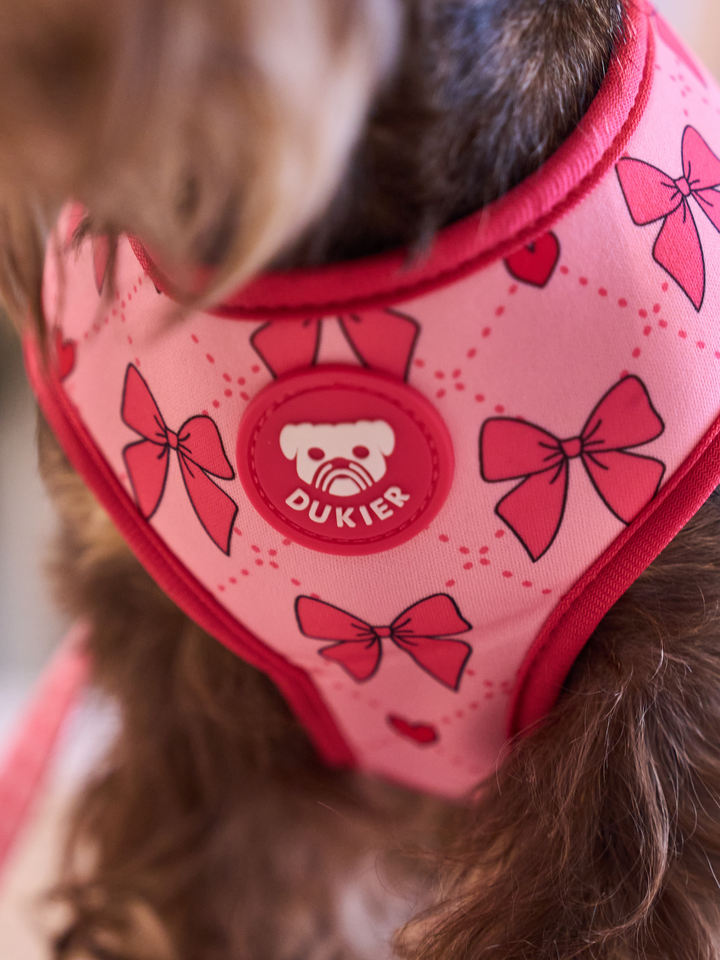 COQUETTE REVERSIBLE DOG HARNESS