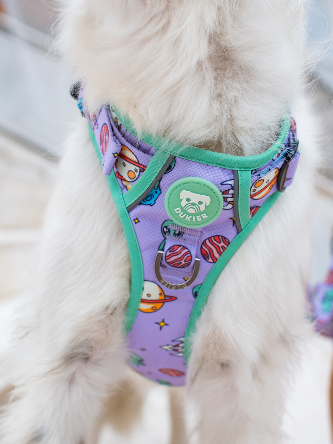 TRAIL DOG HARNESS ALIEN