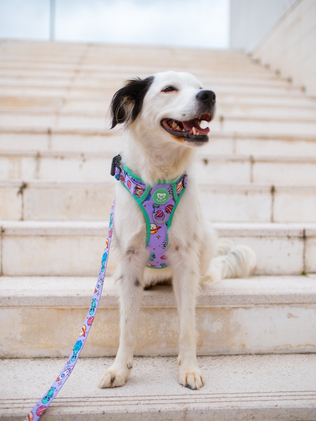 TRAIL DOG HARNESS ALIEN