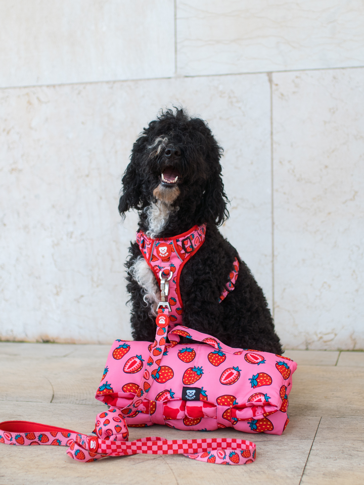 ROLL UP PET MAT: BERRY LOVE