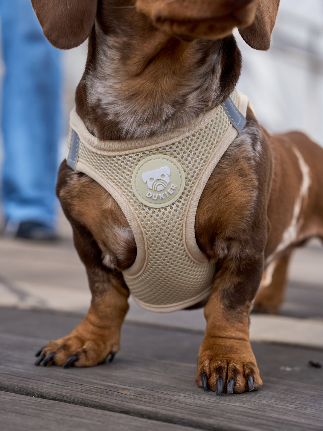 PETTORINA PER CANE BODY BEIGE