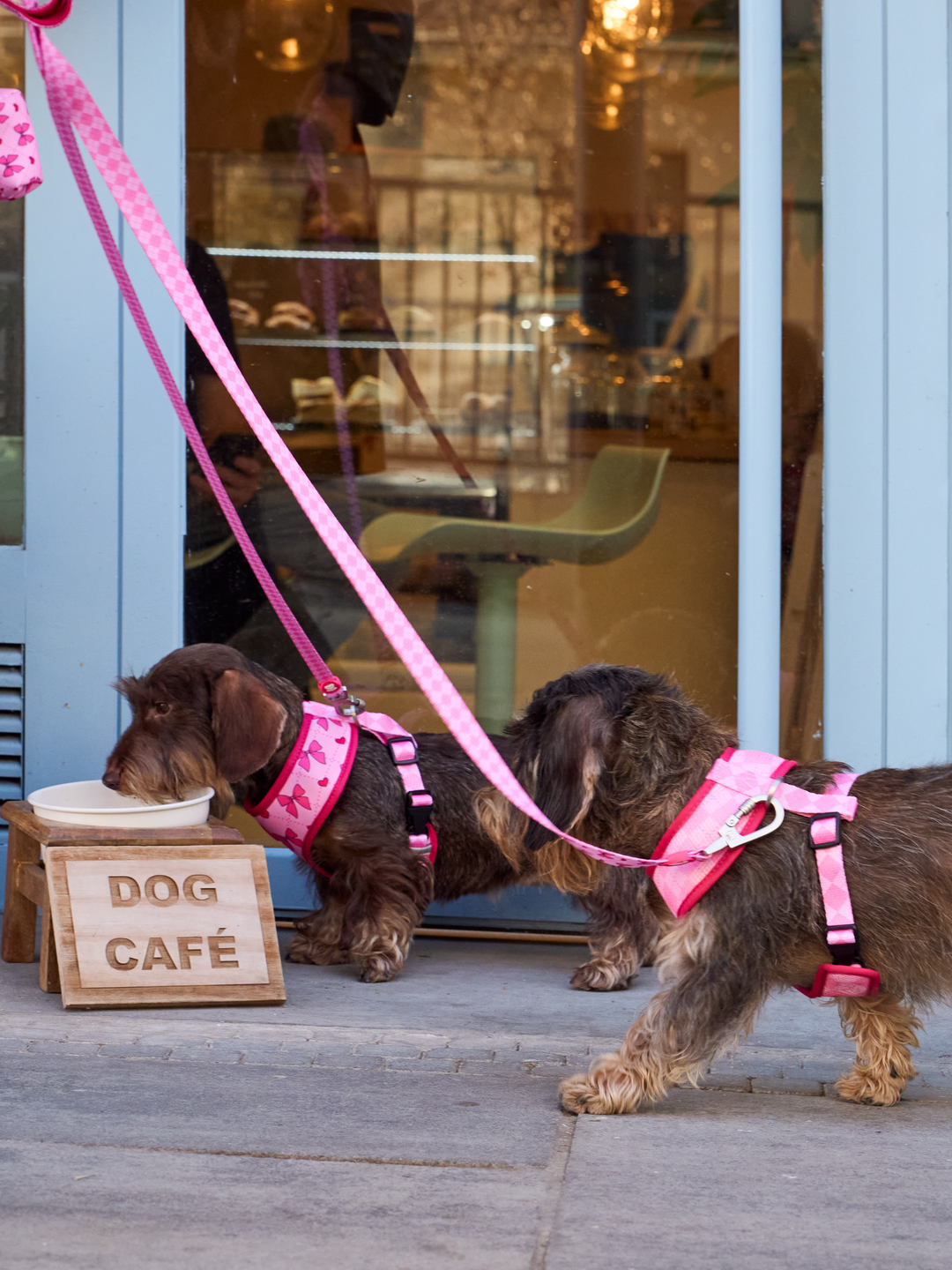 GUINZAGLIO PER CANI COQUETTE