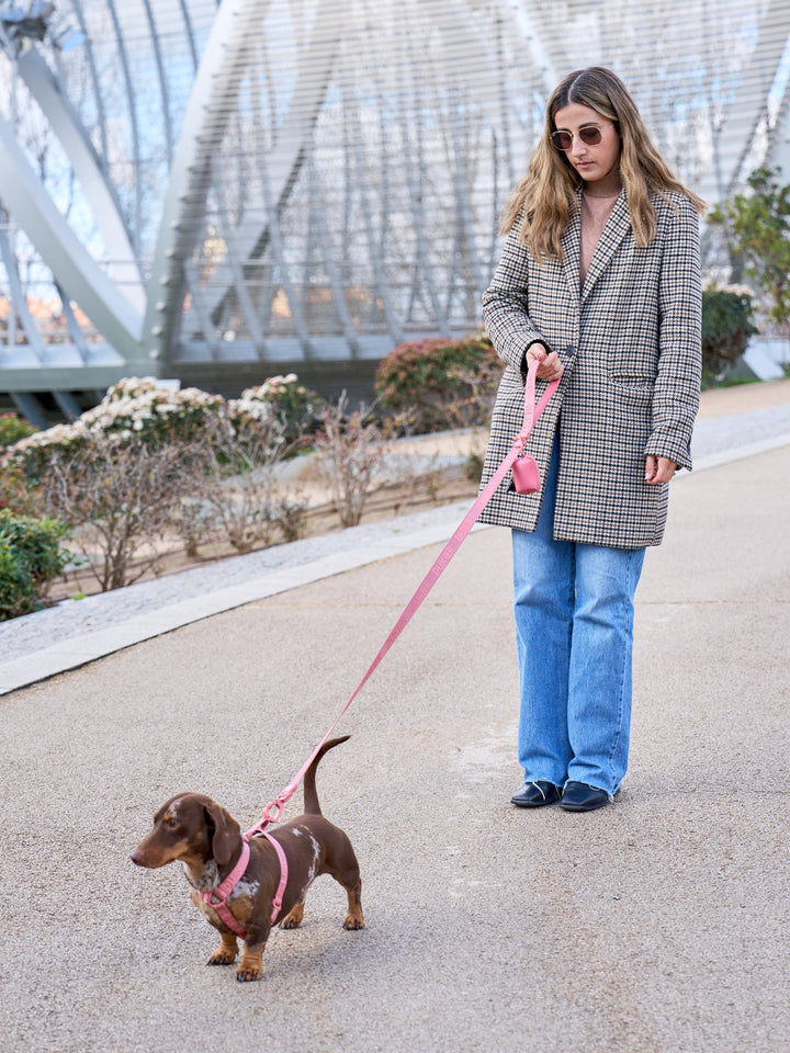 CLASSIC DOG HARNESS TERRACOTA