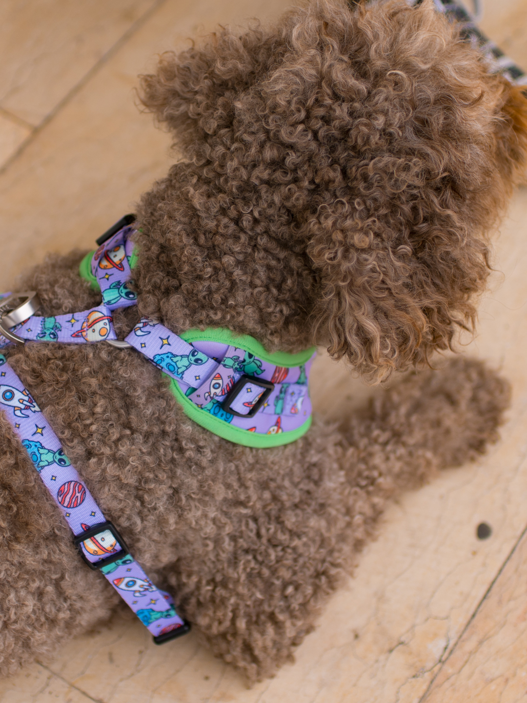 ALIEN ADJUSTABLE DOG HARNESS