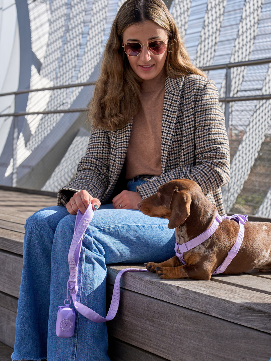 CLASSIC DOG HARNESS VIOLET