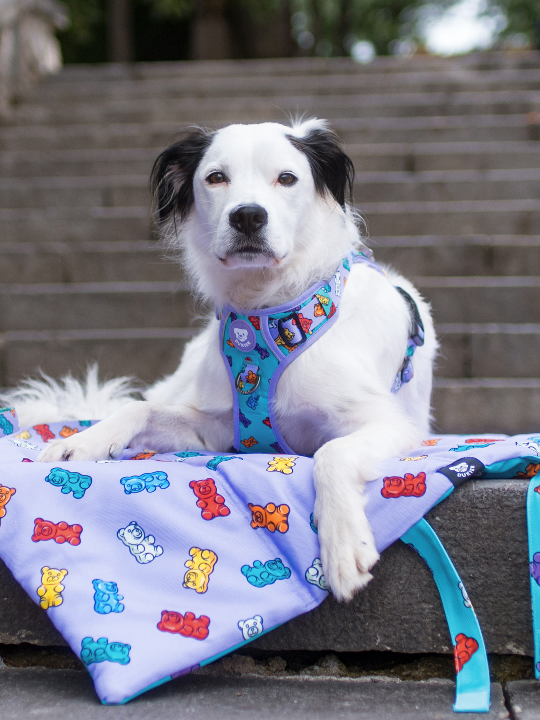 ROLL UP PET MAT: GUMMY BEARS