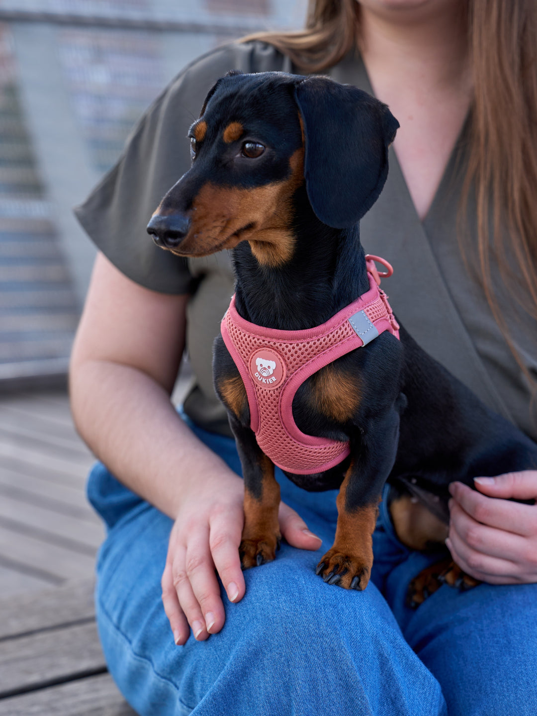 DOG BODY HARNESS TERRACOTA